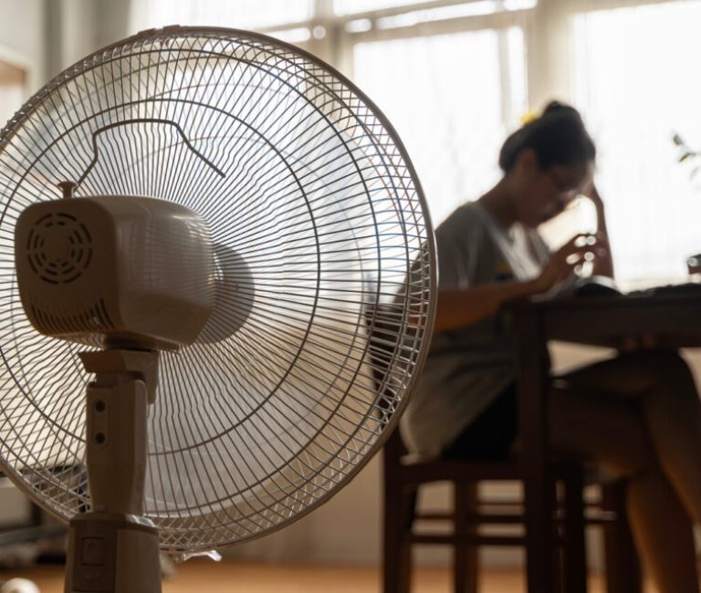 adobestock-637239962-960x640